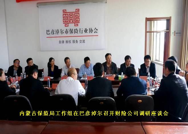5内蒙古保监局工作组在巴彦淖尔召开财险公司调研座谈会.jpg